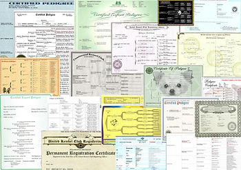 Pedigree quanti ne esistono?