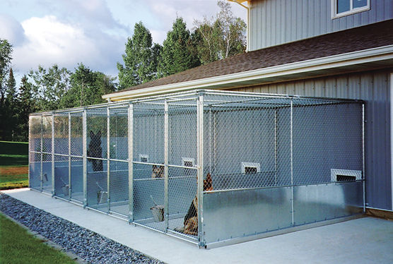 New Italy Kennel ICBD
