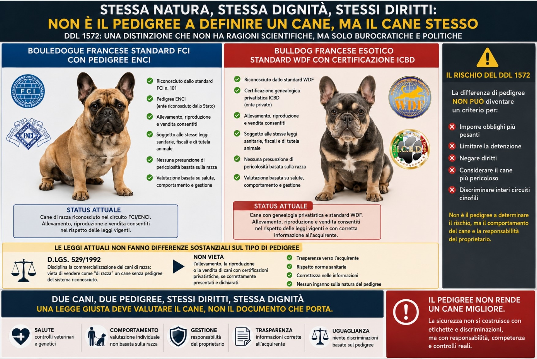 Il caso del Bouledogue Francese standard FCI con pedigree ENCI e del Bulldog Francese a colorazione esotica, conforme a standard WDF e accompagnato da certificazione genealogica privatistica ICBD, mostra bene il problema centrale: due cani possono essere entrambi allevati, riprodotti, ceduti e venduti nel rispetto della normativa generale, ma una nuova impostazione normativa rischierebbe di renderli giuridicamente differenti non per ciò che sono, non per il loro stato di salute, non per il loro comportamento, non per la correttezza dell’allevamento, ma semplicemente per il tipo di pedigree o certificazione genealogica che li accompagna.
