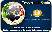Tesseramento ICBD