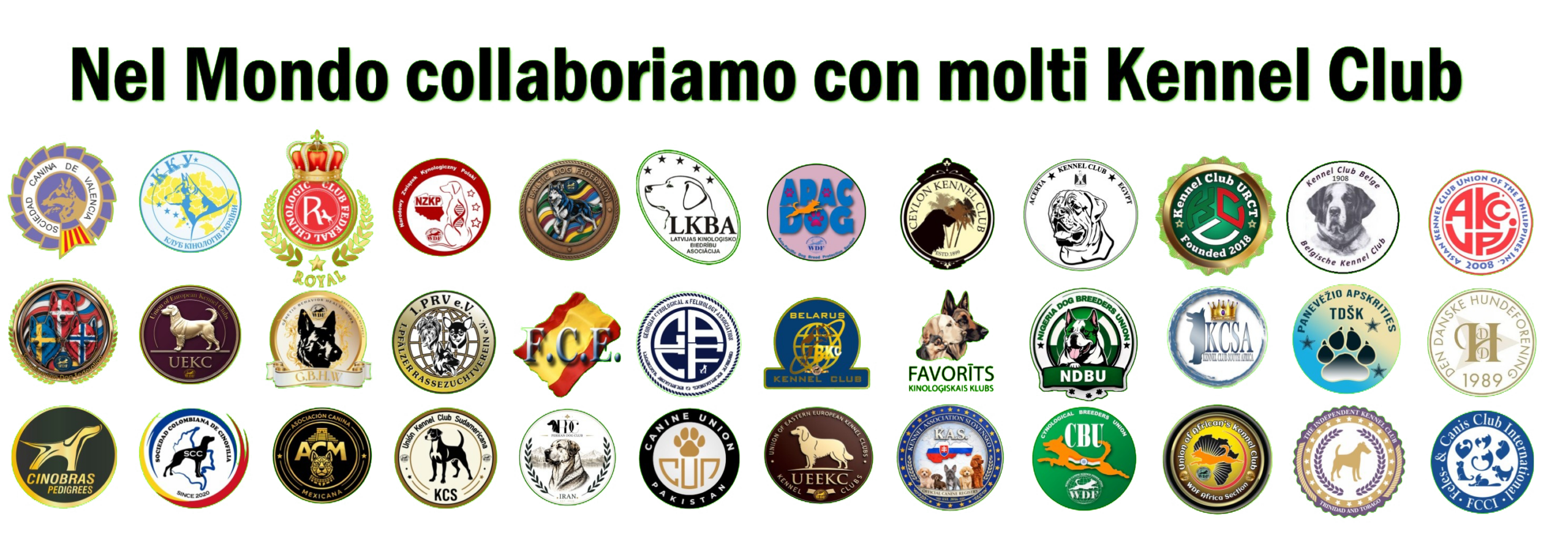 Paesi e organizzazioni del circuito WDF